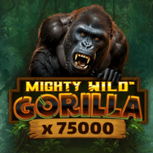 Popular slot game 44